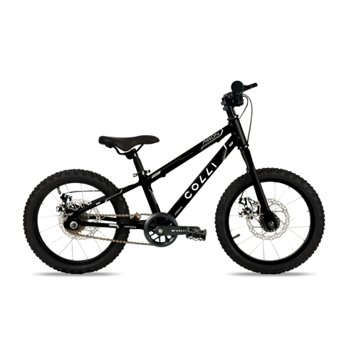 BICICLETA COLLI AIRON - 16